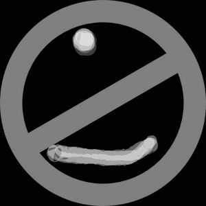 Image of 'No Christmas hats' sign